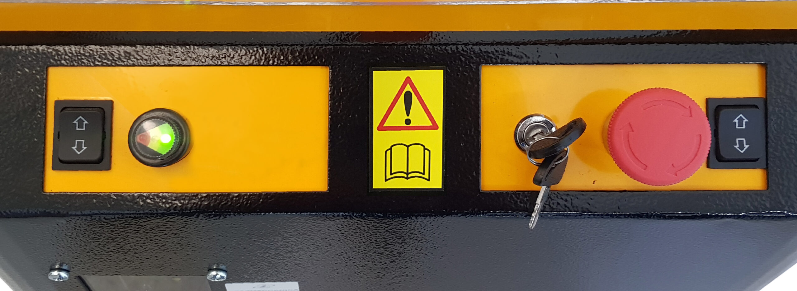 Sollevatore Elettrico 100 kg con Piastra Sollevamento - immagine 4